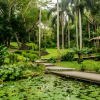 Waterfall Trek, Jungle Safari Zipline and Mudpool Hotspring Tour