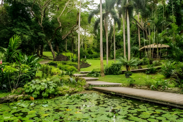 Waterfall Trek, Jungle Safari Zipline and Mudpool Hotspring Tour