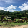 Coral Coast and Mudpool Hotspring Tour