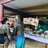 Sabeto Hotspring and Mudpool Tour