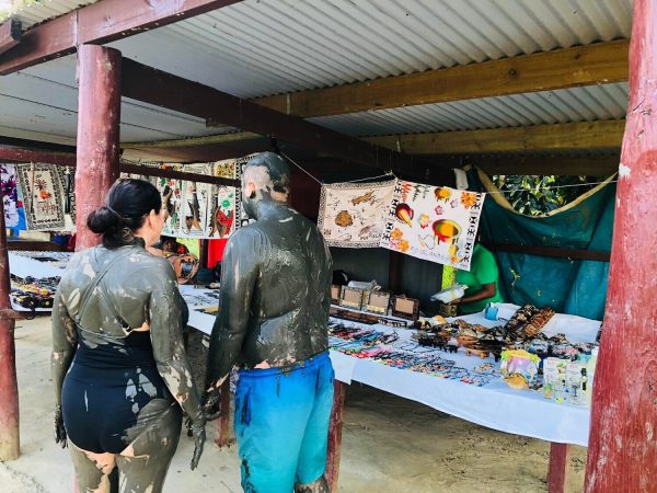 Sabeto Hotspring and Mudpool Tour