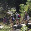 Waterfall Trek & Mudpool Tour