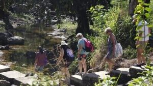 Waterfall Trek & Mudpool Tour