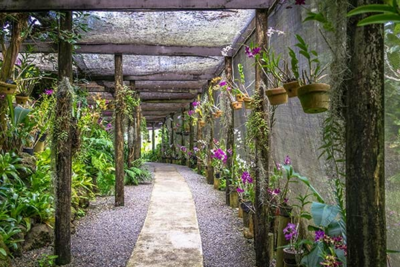 Garden of the Sleeping Giant & Mud Pool Tour