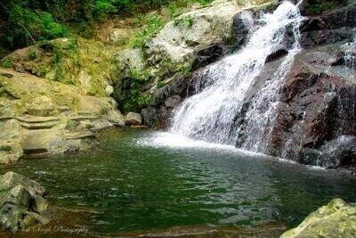 Nadi Garden Of The Sleeping Giant, Waterfall Trek And Mudpool Hotspring Tour