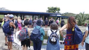 Sabeto Hotspring and Mudpool Tour