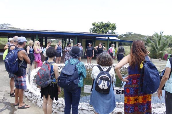 Sabeto Hotspring and Mudpool Tour
