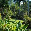 Nadi Garden Of The Sleeping Giant, Waterfall Trek And Mudpool Hotspring Tour
