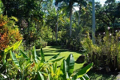 Nadi Garden Of The Sleeping Giant, Waterfall Trek And Mudpool Hotspring Tour