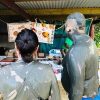 Orchid Garden, Mudpool & Hotspring with Traditional Fijian Village & School Visit