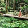 Orchid Garden, Mudpool & Hotspring with Traditional Fijian Village & School Visit