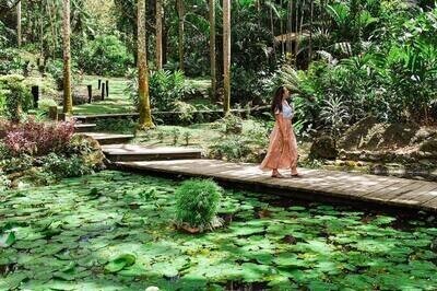 Orchid Garden, Mudpool & Hotspring with Traditional Fijian Village & School Visit