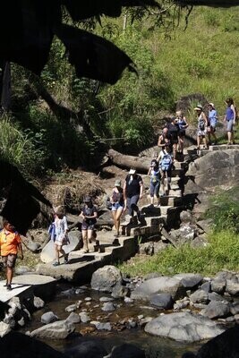 Waterfall Trek & Mudpool Tour