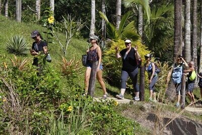 Waterfall Trek & Mudpool Tour