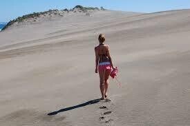 Coral Coast and Mudpool Hotspring Tour