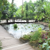 Waterfall Trek, Jungle Safari Zipline and Mudpool Hotspring Tour