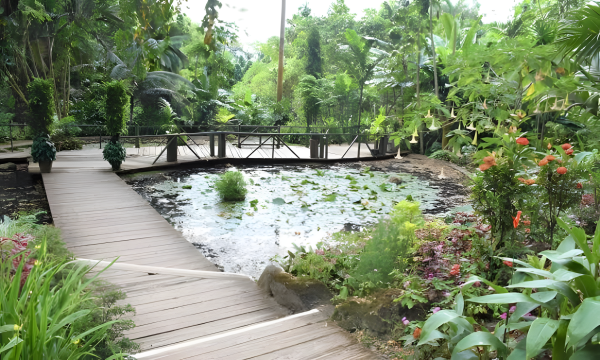 Waterfall Trek, Jungle Safari Zipline and Mudpool Hotspring Tour