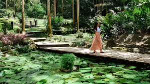 Garden of the Sleeping Giant & Mud Pool Tour