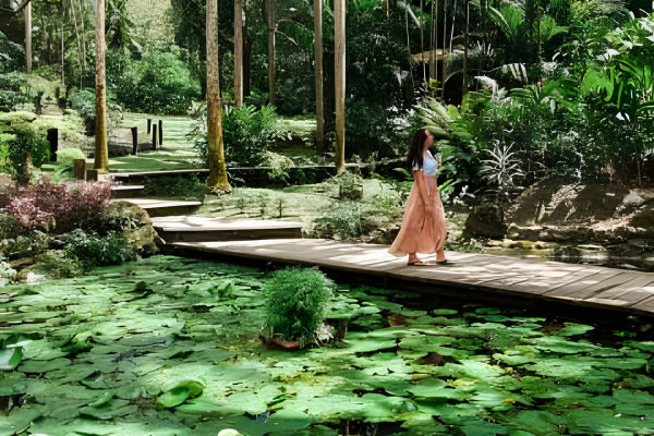 Garden of the Sleeping Giant & Mud Pool Tour