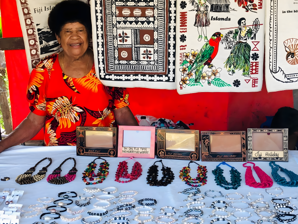 Fijian Village and Mudpool Hotspring Tour