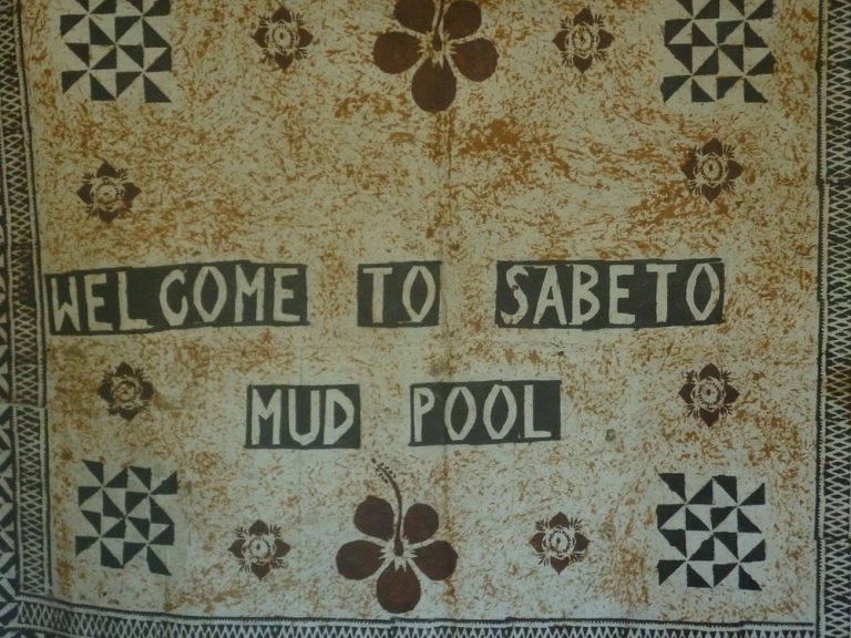 Sabeto Hot Springs and Mud Pool Fiji photo 7