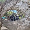 Garden of the Sleeping Giant & Mud Pool Tour