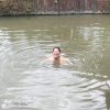 Sabeto Hotspring and Mudpool Tour