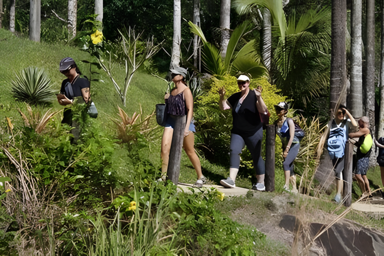 Sabeto Hot Springs and Mud Pool Fiji photo 17