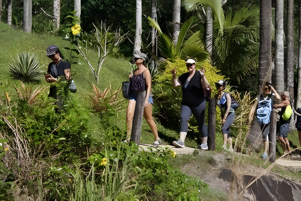 Waterfall Trek, Jungle Safari Zipline and Mudpool Hotspring Tour