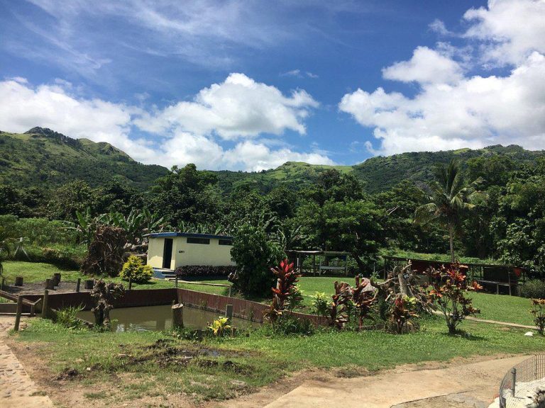 Sabeto Hot Springs and Mud Pool Fiji photo 16