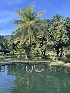 Sabeto Hot Spring Mud Pool and Tours place picture